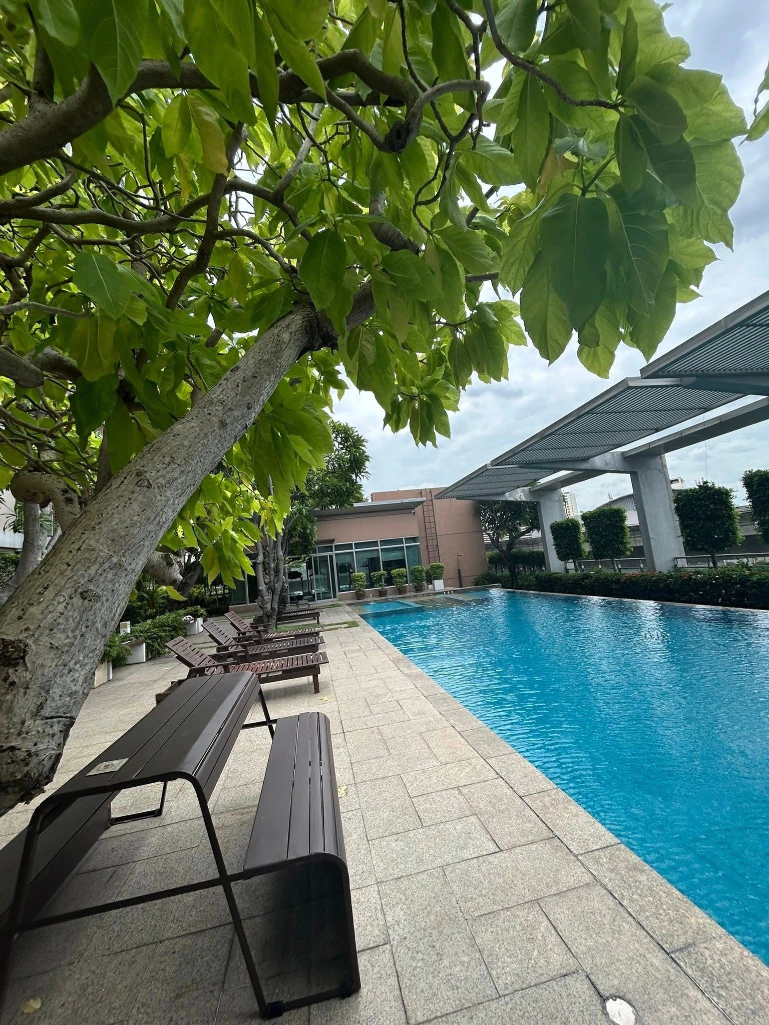 เช่าคอนโด1 BedroomCentric Scene Sukhumvit 64 - Thumbnail 14